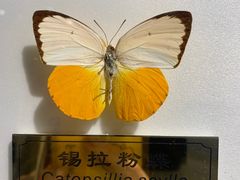 -上海昆虫博物馆