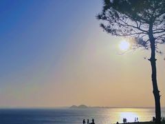 -南澳岛打卡果汁冰公司