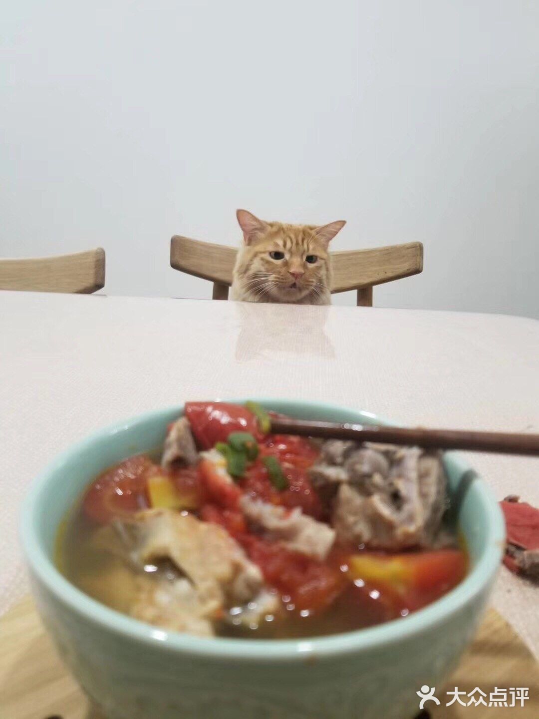 乐家快手小厨房之番茄排骨汤