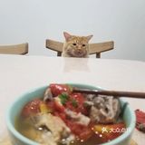 乐家快手小厨房之番茄排骨汤