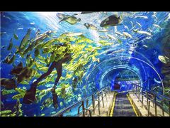 -太平洋海底世界