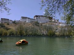android_upload_pic-宗角禄康公园