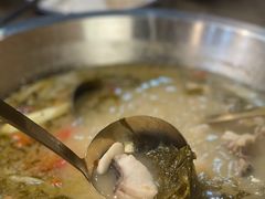 -土著渔匠·养生蝴蝶鱼(香樟路店)