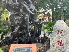 -大槐树寻根祭祖园