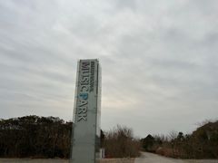 -上海国际音乐村