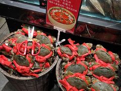 -紫阳海鲜楼·传承闽味(长乐路总店)