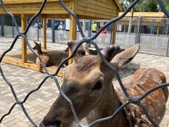 -长白岛森林公园