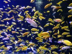 -成都浩海立方海洋公园