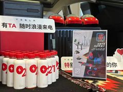 -TESLA 特斯拉(上海太古汇体验店)