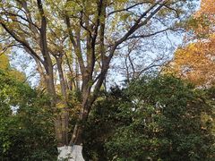 -南通博物苑-崇川人民公园