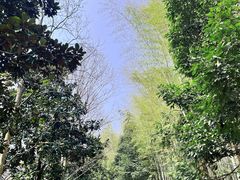 -冶父山国家森林公园