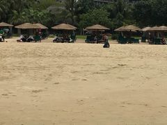 -三亚湾海居铂尔曼度假酒店