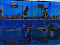 -日照大牌檔•小船海鲜(万平口店)