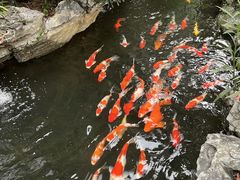 -顺德渔村·岭南一号