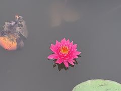 -星巴克(北京西站5号候车室)