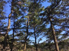 -罗田薄刀峰风景区