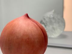-中国农业博物馆