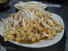 -马帮寨院坝火锅(龙港公园店)