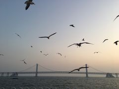 -星海湾跨海大桥