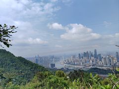 -南山植物园