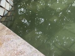 -碧水湾温泉