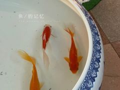 -湖畔居茶楼(湖滨店)