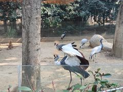 -宁波野生动物园