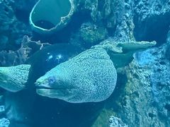 -左海海底世界