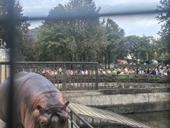 -合肥野生动物园