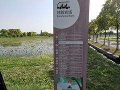 -嘉北郊野公园