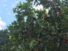 -五邑人家(江门店)