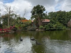 -海南热带野生动植物园