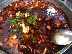 -重庆乌鱼庄·龙滋鲜(青羊大道店)