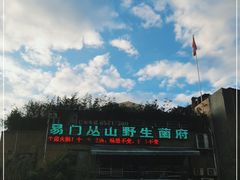 -易门野生菌府·菌海森林(月牙潭公园店)