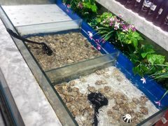 -火锅岛潮牌自助餐厅(天津天佑城店)