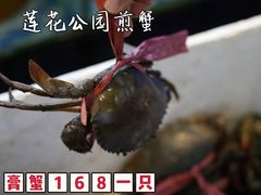 -莲花公园煎蟹(总店)