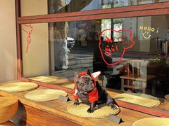 -熙盛源(凤凰街店)