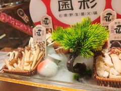 -菌彩云南野生菌火锅(新亚洲店)
