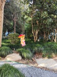 -上海交通大学医学院附属上海儿童医学中心(陆家嘴总院区)