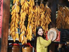 -云南民族村