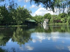 -上海共青森林公园