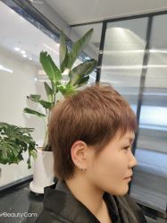 -时尚殿堂salon