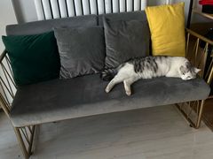 -青春加萌照相馆