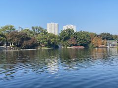 -荔湾湖公园