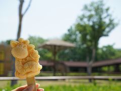 -扬州市茱萸湾风景区