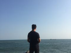 -广东惠东海龟国家级自然保护区