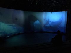 -白鹿仓冰雪海洋世界