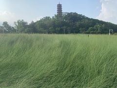 -红花山公园