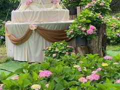 -名花谷生态庄园