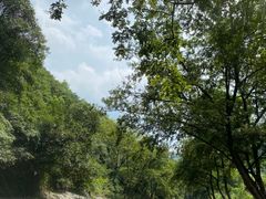 -雅鲁激流探险漂流